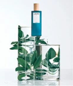 Loewe - Herenparfum - 7 Cobalt - Eau De Parfum 100 Ml -Parfum Verkoopwinkel 1026x1200 2