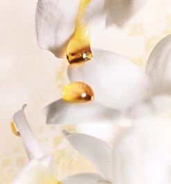 Dior J'adore 150 Ml - Eau De Parfum - Damesparfum -Parfum Verkoopwinkel 1110x1200 9