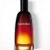 Dior Fahrenheit 100 Ml - Eau De Toilette - Herenparfum