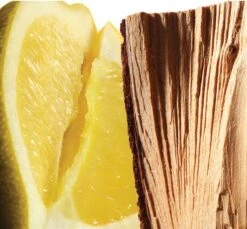 L'homme Cologne Bleue By Yves Saint Laurent 60 Ml - Eau De Toilette Spray -Parfum Verkoopwinkel 1200x1114 2