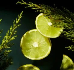 RITUALS Life Is A Journey - Homme Car Perfume - 6 Ml -Parfum Verkoopwinkel 1200x1136 3