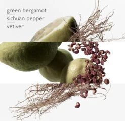 Hermes - Terre D´Hermes Eau Intense Vetiver - Eau De Parfum - 50ML -Parfum Verkoopwinkel 1200x1161