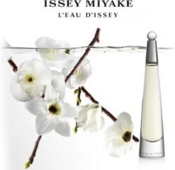 Issey Miyake L'Eau D'Issey 25 Ml - Eau De Toilette - Damesparfum -Parfum Verkoopwinkel 1200x1168 1
