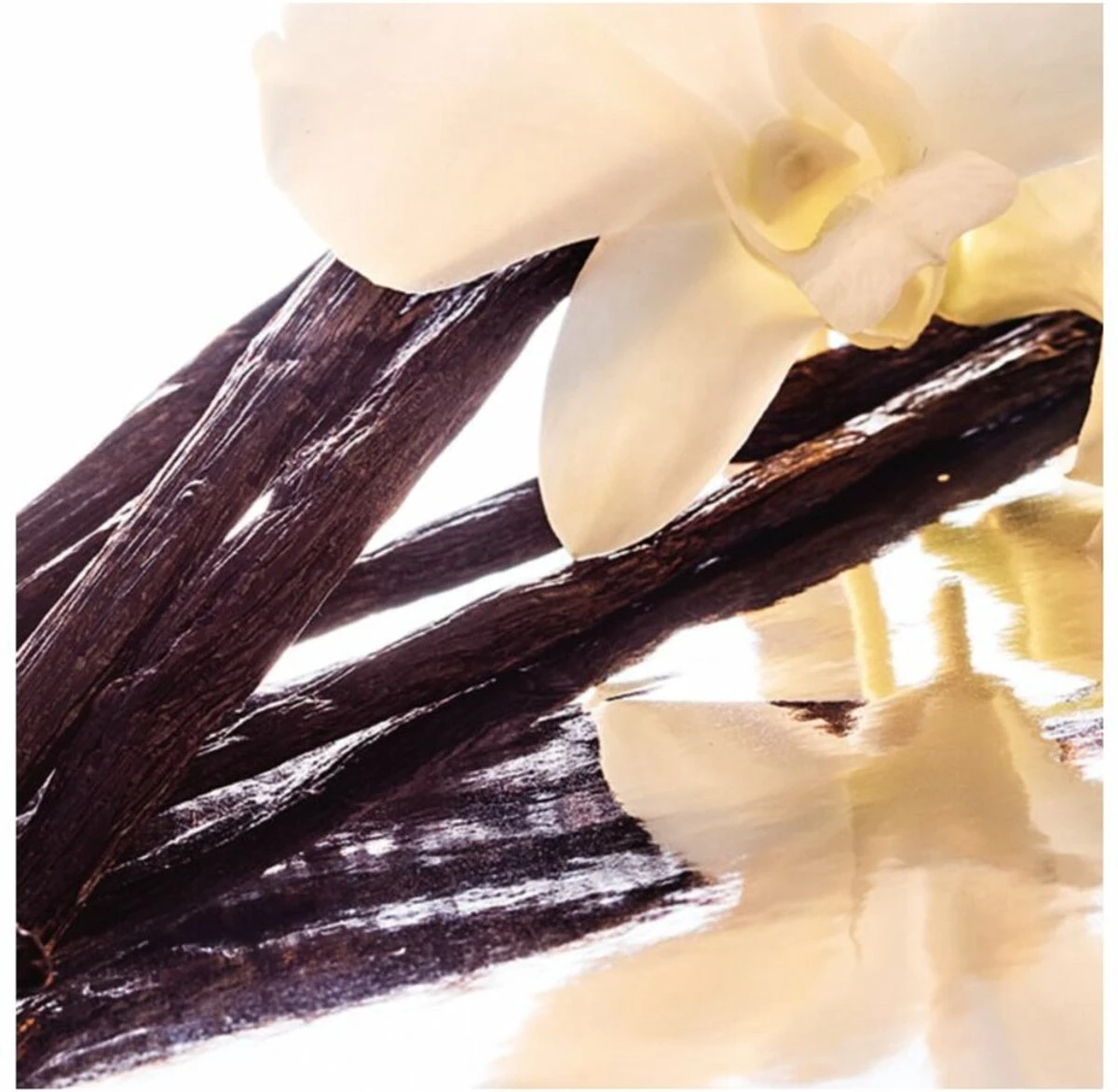 Guerlain Shalimar 50ml - Eau De Parfum - Damesparfum 4 Guerlain Shalimar 50ml - Eau De Parfum - Damesparfum - Afbeelding 4