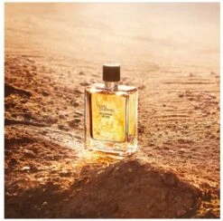 Hermes - Terre D´Hermes Eau Intense Vetiver - Eau De Parfum - 50ML -Parfum Verkoopwinkel 1200x1186 1