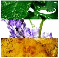 Davidoff Cool Water 125 Ml - Eau De Toilette - Herenparfum -Parfum Verkoopwinkel 1200x1186 3