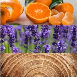 Calvin Klein Obsession 125 Ml - Eau De Toilette - Herenparfum 6 Calvin Klein Obsession 125 Ml - Eau De Toilette - Herenparfum -Parfum Verkoopwinkel 1200x1194 4