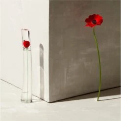 Kenzo Flower 30 Ml - Eau De Parfum - Damesparfum 10 Kenzo Flower 30 Ml - Eau De Parfum - Damesparfum -Parfum Verkoopwinkel 1200x1197 1