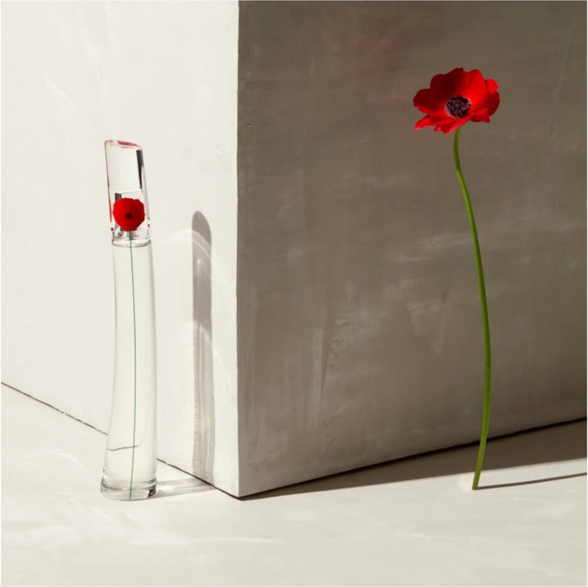 Kenzo Flower 30 Ml - Eau De Parfum - Damesparfum 4 Kenzo Flower 30 Ml - Eau De Parfum - Damesparfum - Afbeelding 4