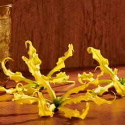 Gucci Guilty Pour Femme Eau De Parfum Intense -Parfum Verkoopwinkel 1200x1200 182