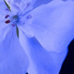 Yves Saint Laurent - Eau De Parfum - Y Le Parfum - 100 Ml -Parfum Verkoopwinkel 1200x1200 231