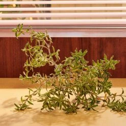 Gucci Guilty Pour Homme Parfum -Parfum Verkoopwinkel 1200x1200 281