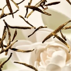 RITUALS Life Is A Journey - Karma Car Perfume - 6 G -Parfum Verkoopwinkel 1200x1200 348