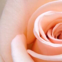 Spider-Man Geschenkset - Eau De Toilette 100 Ml & Douchegel 60 Ml - Met Toilettas -Parfum Verkoopwinkel 1200x1200 482