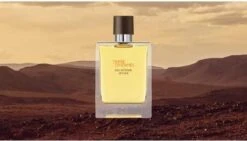 Hermes - Terre D´Hermes Eau Intense Vetiver - Eau De Parfum - 50ML -Parfum Verkoopwinkel 1200x686