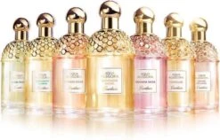 Guerlain Aqua Allegoria Ginger Piccante Eau De Toilette 125ml Spray -Parfum Verkoopwinkel 1200x767 1