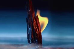 Dior Sauvage Parfum Pure Parfum 200ml 22 Dior Sauvage Parfum Pure Parfum 200ml -Parfum Verkoopwinkel 1200x800 12