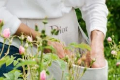 Miss Dior Absolutely Blooming 50 Ml - Eau De Parfum - Damesparfum -Parfum Verkoopwinkel 1200x800 8