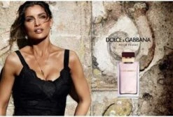 Dolce & Gabbana Pour Femme 50 Ml - Eau De Parfum - Damesparfum -Parfum Verkoopwinkel 1200x815
