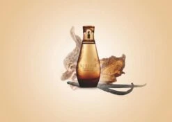 Yves Rocher Parfum - SO ELIXIR BOIS SENSUEL Eau De Parfum - Damesparfum 50 Ml -Parfum Verkoopwinkel 1200x856 1