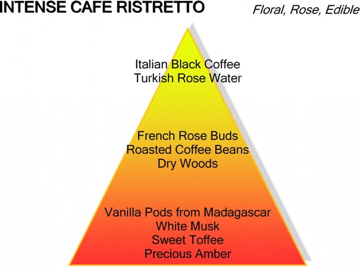 Montale Ristretto Intense Café Extrait De Parfum 100 Ml 4 Montale Ristretto Intense Café Extrait De Parfum 100 Ml - Afbeelding 4