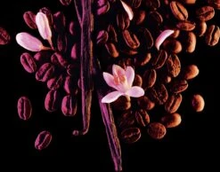 Yves Saint Laurent Black Opium 30 Ml - Eau De Parfum - Damesparfum -Parfum Verkoopwinkel 1200x943