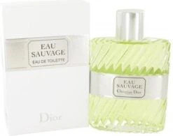 Dior Eau Sauvage 100 Ml - Eau De Toilette - Herenparfum -Parfum Verkoopwinkel 1200x945 1