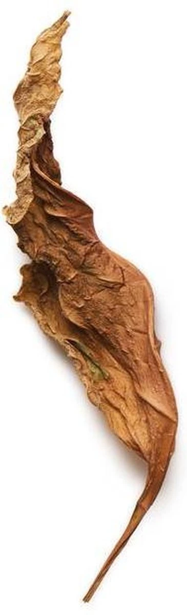 Giorgio Armani Acqua Di Gio Profumo 125 Ml - Eau De Parfum - Herenparfum 14 Giorgio Armani Acqua Di Gio Profumo 125 Ml - Eau De Parfum - Herenparfum - Afbeelding 14