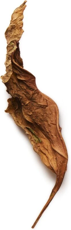 Giorgio Armani Acqua Di Gio Absolu 75ml - Eau De Parfum - Herenparfum 30 Giorgio Armani Acqua Di Gio Absolu 75ml - Eau De Parfum - Herenparfum -Parfum Verkoopwinkel 372x1200 2