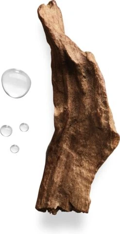 Giorgio Armani Acqua Di Gio Absolu 75ml - Eau De Parfum - Herenparfum 34 Giorgio Armani Acqua Di Gio Absolu 75ml - Eau De Parfum - Herenparfum -Parfum Verkoopwinkel 616x1200