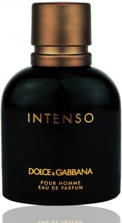 Dolce & Gabbana - Intenso Pour Homme - Eau De Parfum - 125ML -Parfum Verkoopwinkel 654x1200 1