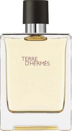 Hermes Terre D'Hermes 100 Ml - Eau De Toilette - Herenparfum -Parfum Verkoopwinkel 667x1200 6