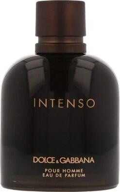 Dolce & Gabbana - Intenso Pour Homme - Eau De Parfum - 125ML -Parfum Verkoopwinkel 751x1200 7